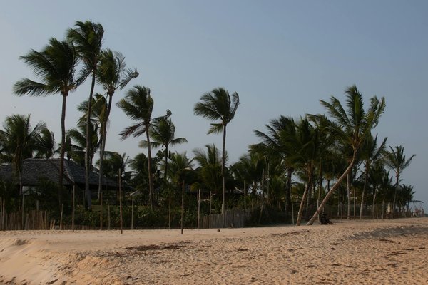 Comment organiser une randonnée pour découvrir les paysages lunaires de la vallée de la mort, USA ?